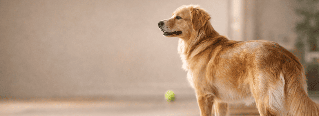 Энергия и активность