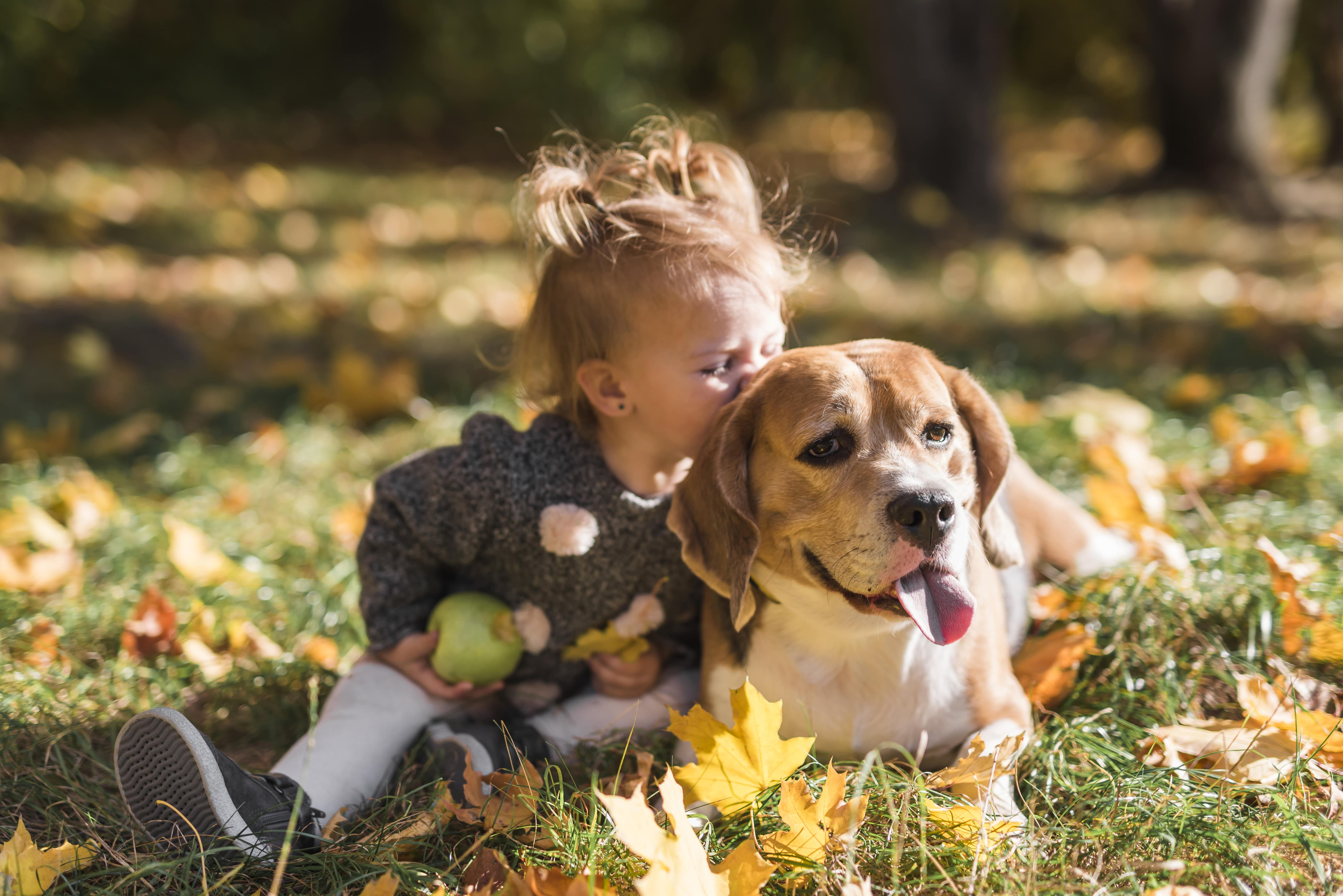 Собаки для детей: лучшие породы для семей с маленькими детьми