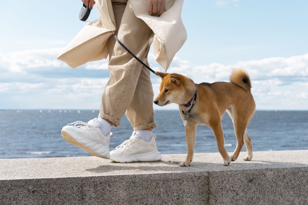 side-view-owner-walking-with-dog-min.jpg