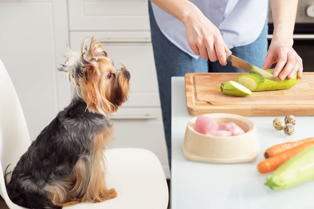 making-natural-pet-food-home-woman-prepares-organic-food-her-dog-min.jpg