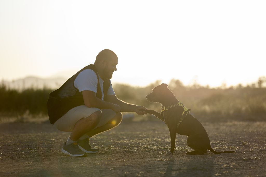 man-training-his-dog-outdoors-sunset-min.jpg